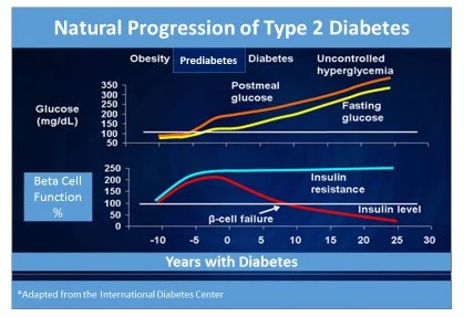 Progression de la résistance à l'insuline vers le diabète de type 2